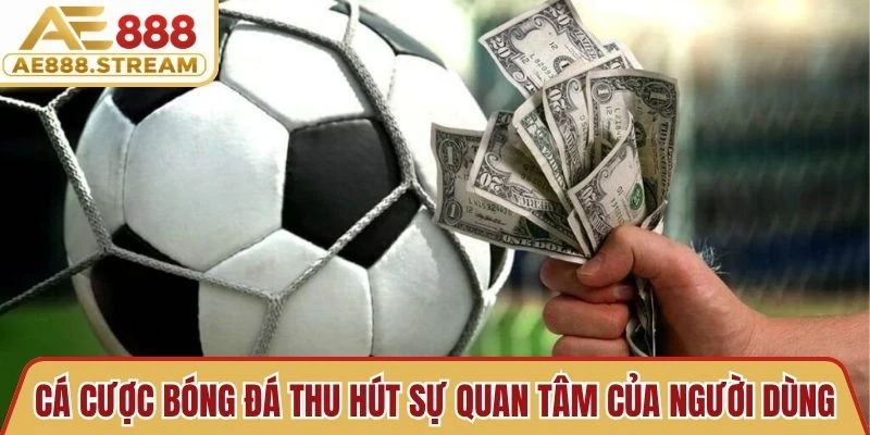 Cá cược bóng đá thu hút sự quan tâm của hàng triệu người dùng