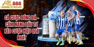 Cá Cược Bóng Đá