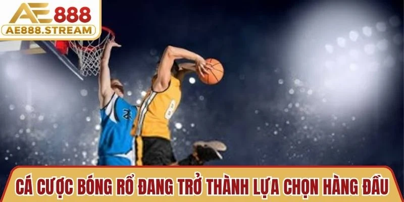 Cá cược bóng rổ đang trở thành lựa chọn hàng đầu của nhiều người chơi