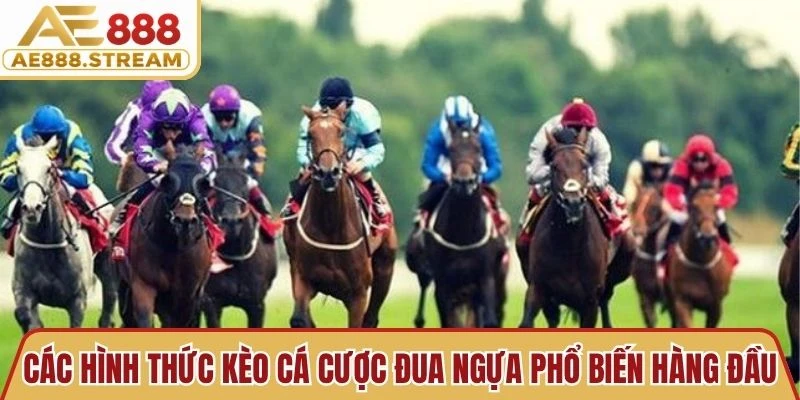 Các hình thức kèo cá cược đua ngựa phổ biến hàng đầu hiện nay