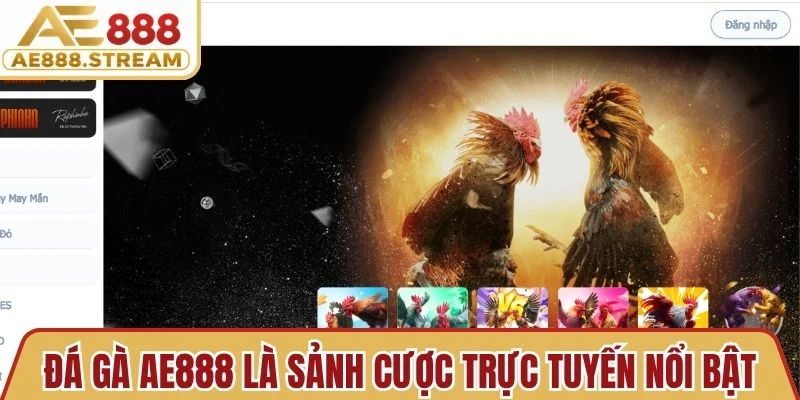 Đá Gà AE888 là sảnh cược trực tuyến nổi bật với nhiều trận đấu hấp dẫn