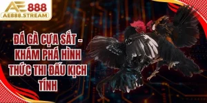 Đá Gà Cựa Sắt