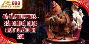 đá gà Philippines