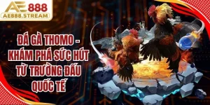 Đá Gà Thomo