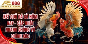 Kết Quả Đá Gà Hôm Nay