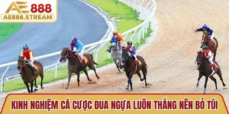 Kinh nghiệm cá cược đua ngựa luôn thắng nên bỏ túi