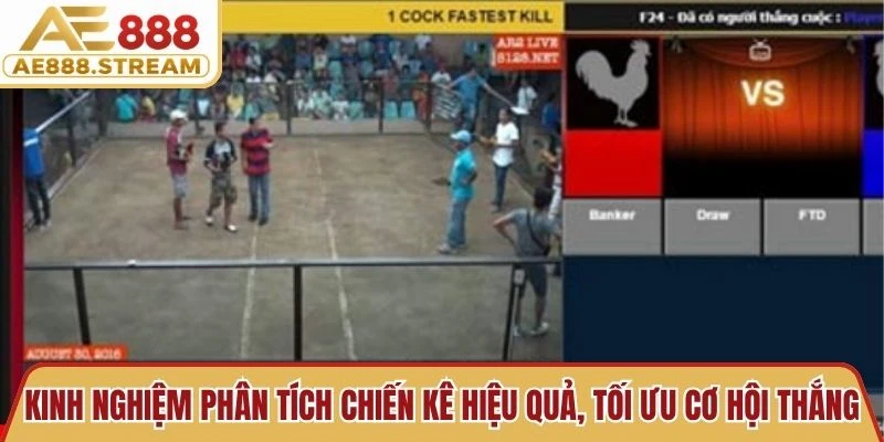 Kinh nghiệm phân tích chiến kê hiệu quả, tối ưu cơ hội thắng 