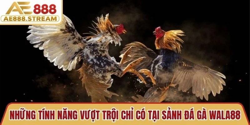 Những tính năng vượt trội chỉ có tại sảnh đá gà Wala88