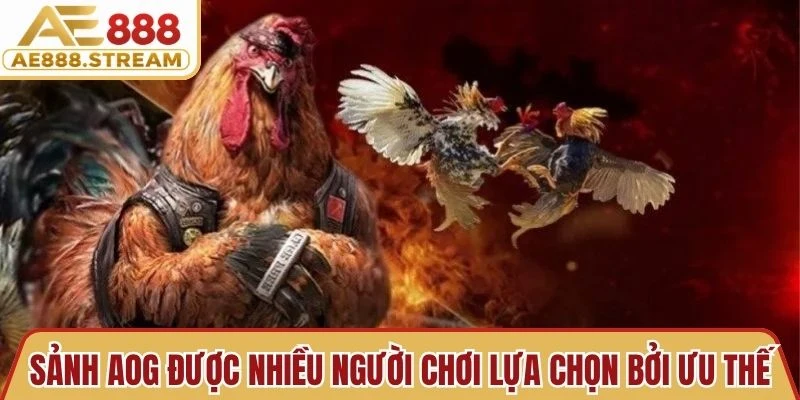 Sảnh AOG được nhiều người chơi lựa chọn bởi những ưu thế vượt trội 
