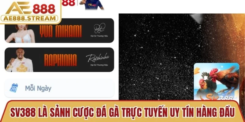 SV388 là sảnh cược đá gà trực tuyến uy tín hàng đầu