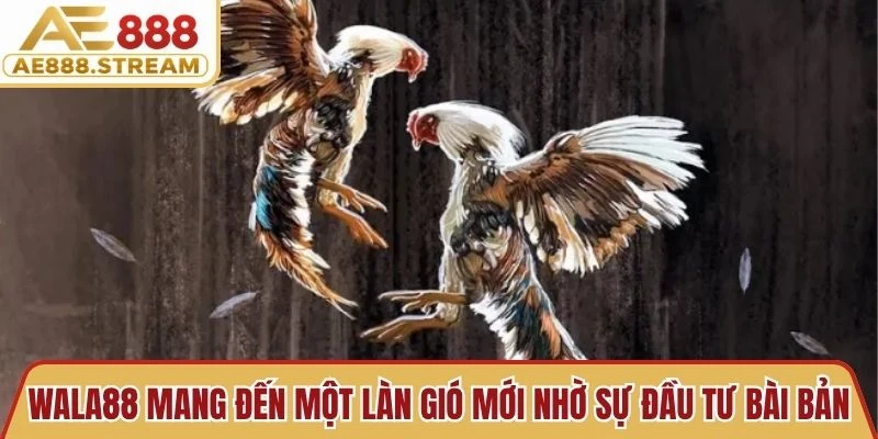 Wala88 mang đến một làn gió mới nhờ sự đầu tư bài bản và chuyên nghiệp
